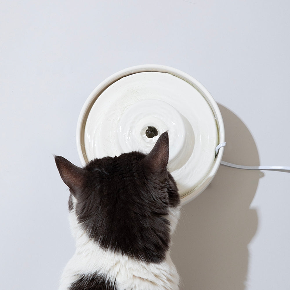 DUIT Duit Wave Pot Cat Dog Ceramic Water Feeder A Type
